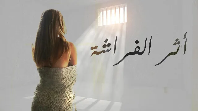 مسلسل أثر الفراشة